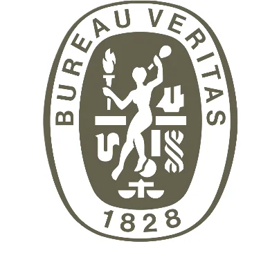 Logo Bureau veritas typographie marron et rouge sur fond transparent